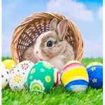 Easter Ugc!