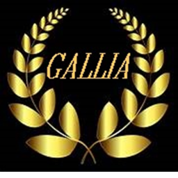 [𝕲𝖊𝖓𝖘]Gallia ViIIa