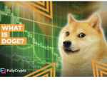 Doge Offical group