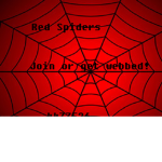 # Spiderman squad