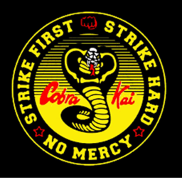 The Cobra Kai Dojo