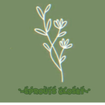 sprouts closet