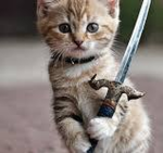 Aj's Kitty Army