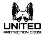 United Dogs And Wolves