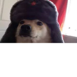 soviet doges