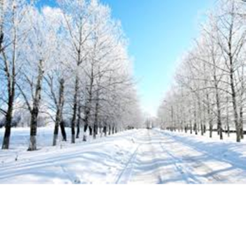 Snowy Plains