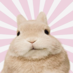 bbunnz!