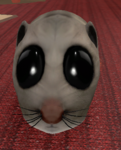 Miau chis