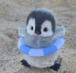 pengu waddlers