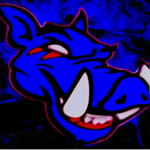 Buffalo Boars