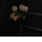 Preppy flowers :)