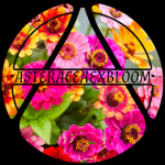 Asteraceaexbloom
