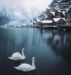 Frozen village~