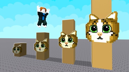 Jump Into Meowl