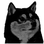 MLG friends Hangout