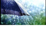 Sparkl3
