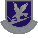 United States Military AirForce Security Forces