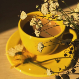 💛