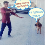 Meow qroup