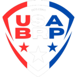 Auto Art