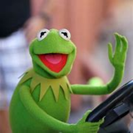 kermit the froggyy