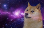 Doge the realest group