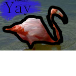 (FAKE) Flamingo Fan Club
