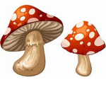The Pink Mushrooms