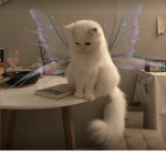 SENDLUVXO