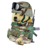 THE DOGE BLACK OPS