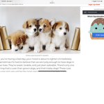 Team puppies and I love puppies so much they’re Ca