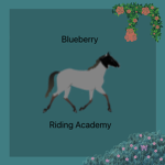 Blueberry Riding Academy