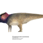 Lizard Genesis