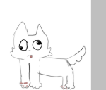 Floffy cat hangout