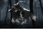 W3NDIGO RIDERS