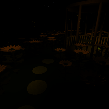 Summer night