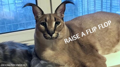Raise a flip flop