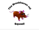 The Brookhaven rat squad!