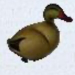 Mythunters | Asymmetrical