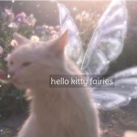 hello kitty fairies