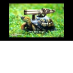the turtle army B)