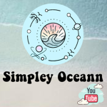 0cean Army