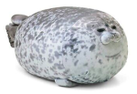 The Cool Seal gang