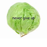 deal with lettuce