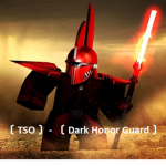 〔 TSO 〕- 〔 Dark Honor Guard 〕