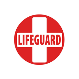 Lifeguard Simulator (WIP)