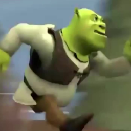 Disaster Escape