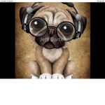 The pug Group!!!!
