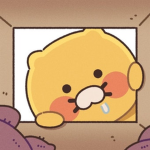 다시 만든 그룹