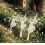 Fallen Fairy